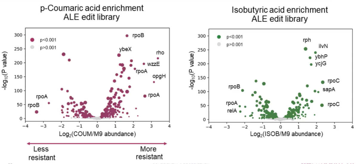 ALE study with Onyx cell libraries captures variants enriched or depleted under p‑coumatic and isobutyric acid pressure 