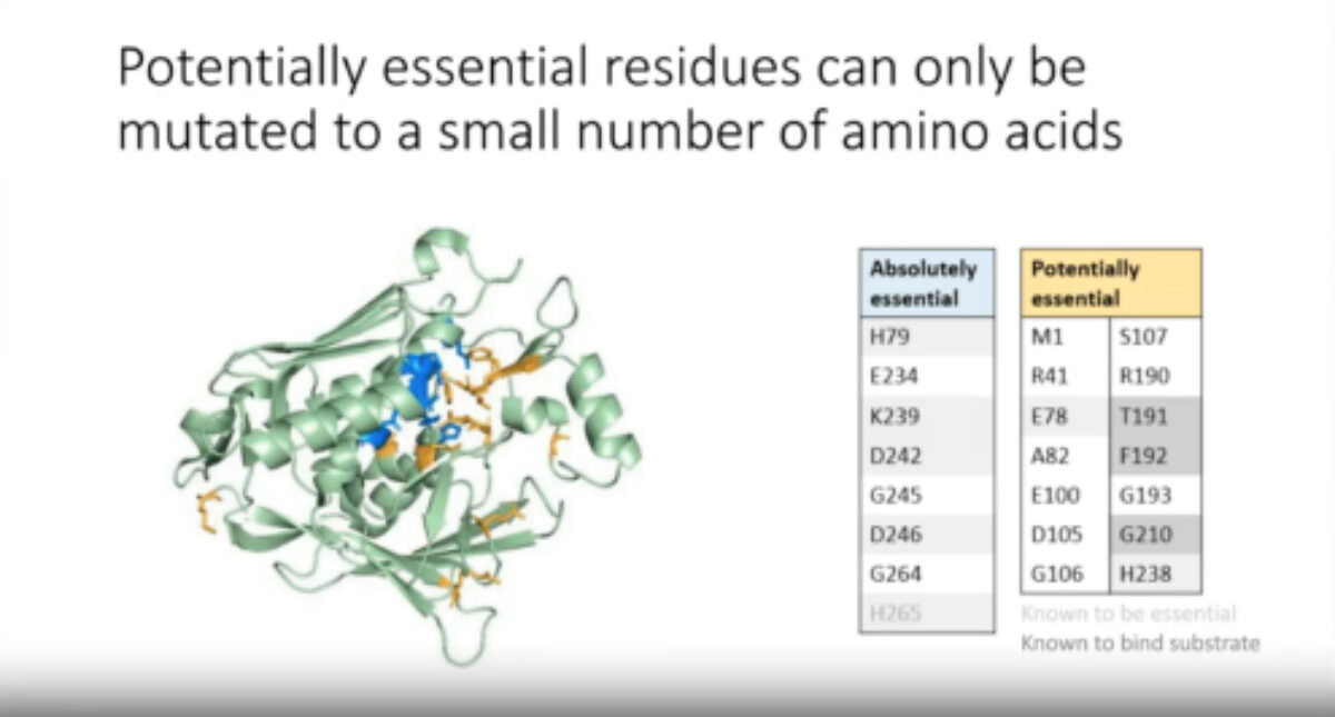 Site-saturation mutagenesis identified essential residues around the active site of LpxC 