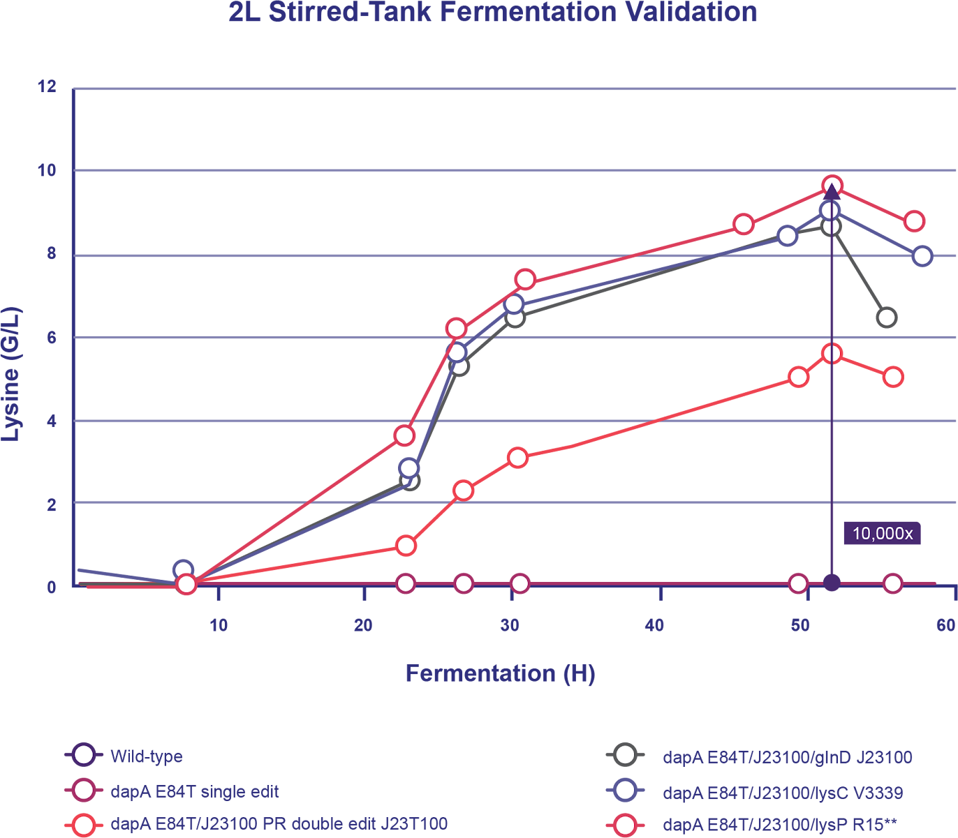 2L Stirred-Tank Fermentation Validation