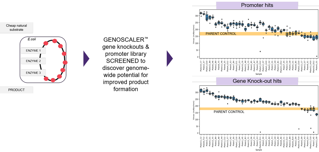 Three-enzyme pathway in E. coli for bioconversion