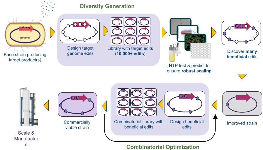 GenoScaler™: The world’s first whole genome engineering solution